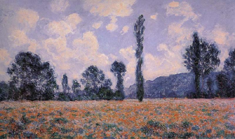 Claude Monet Field of Poppies Spain oil painting art